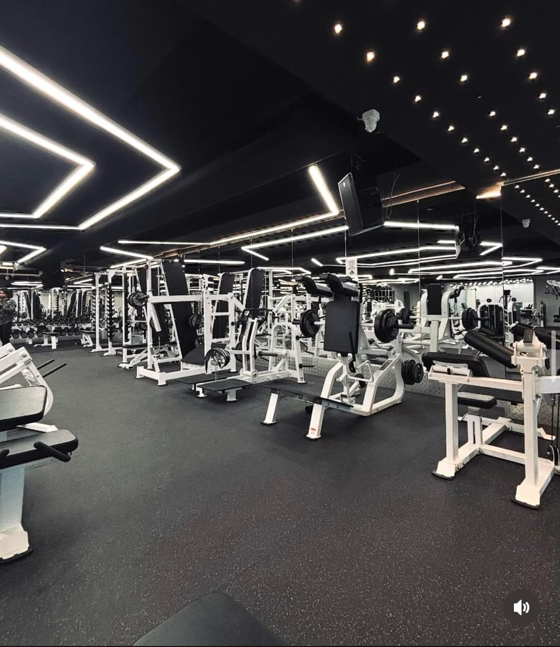 Free Weights