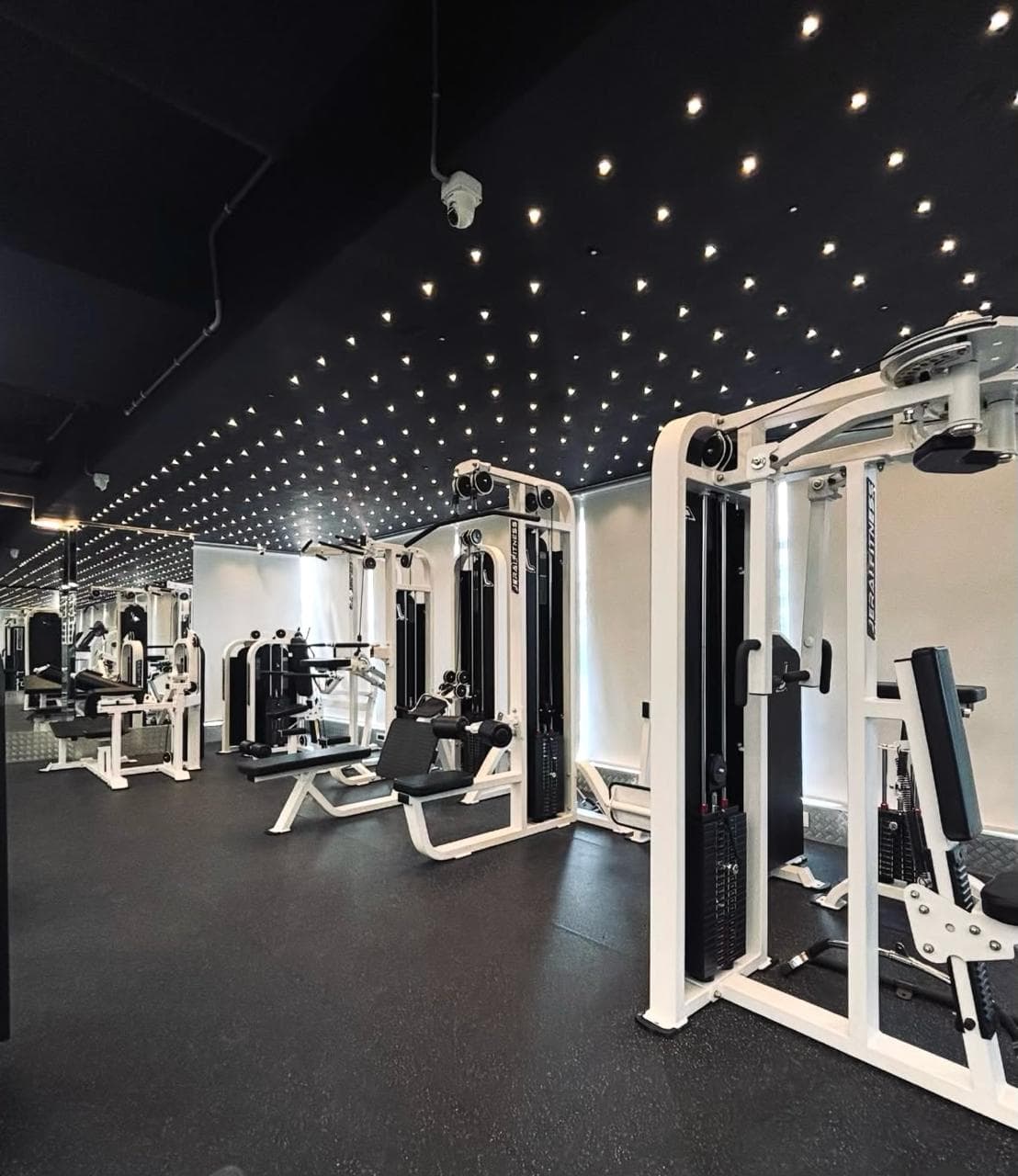Weights Section