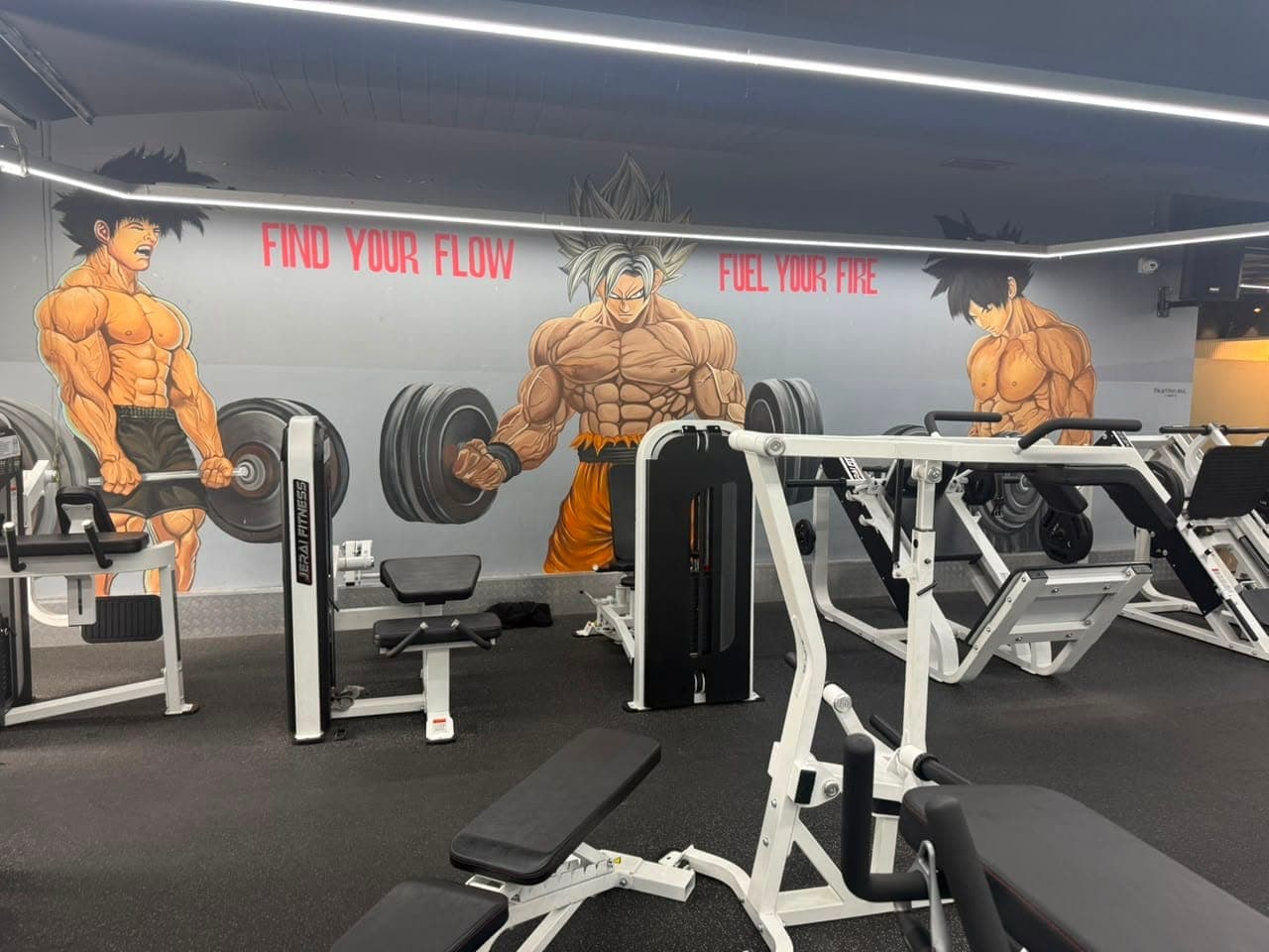 Equipment Zone