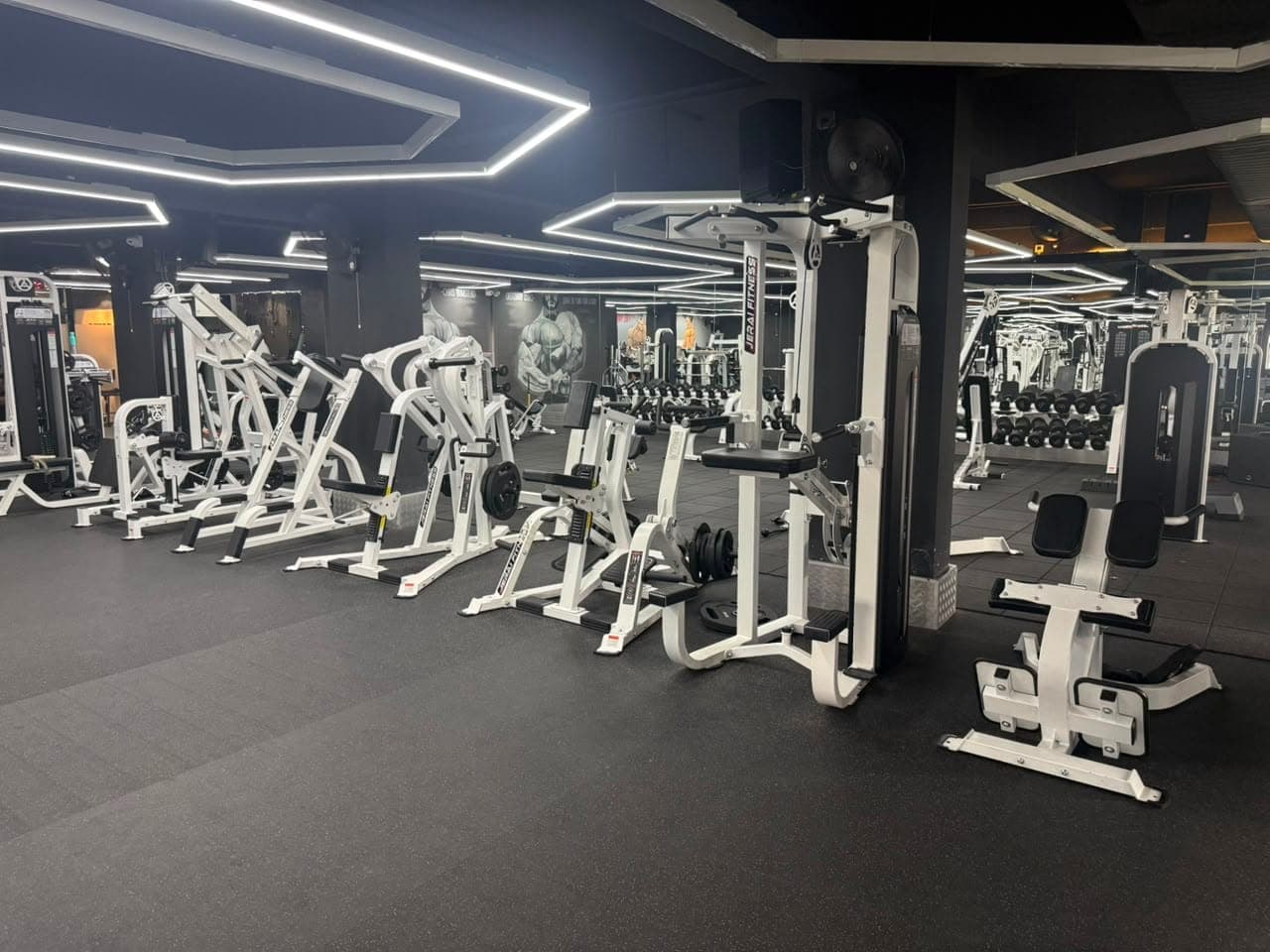 Cable Machines