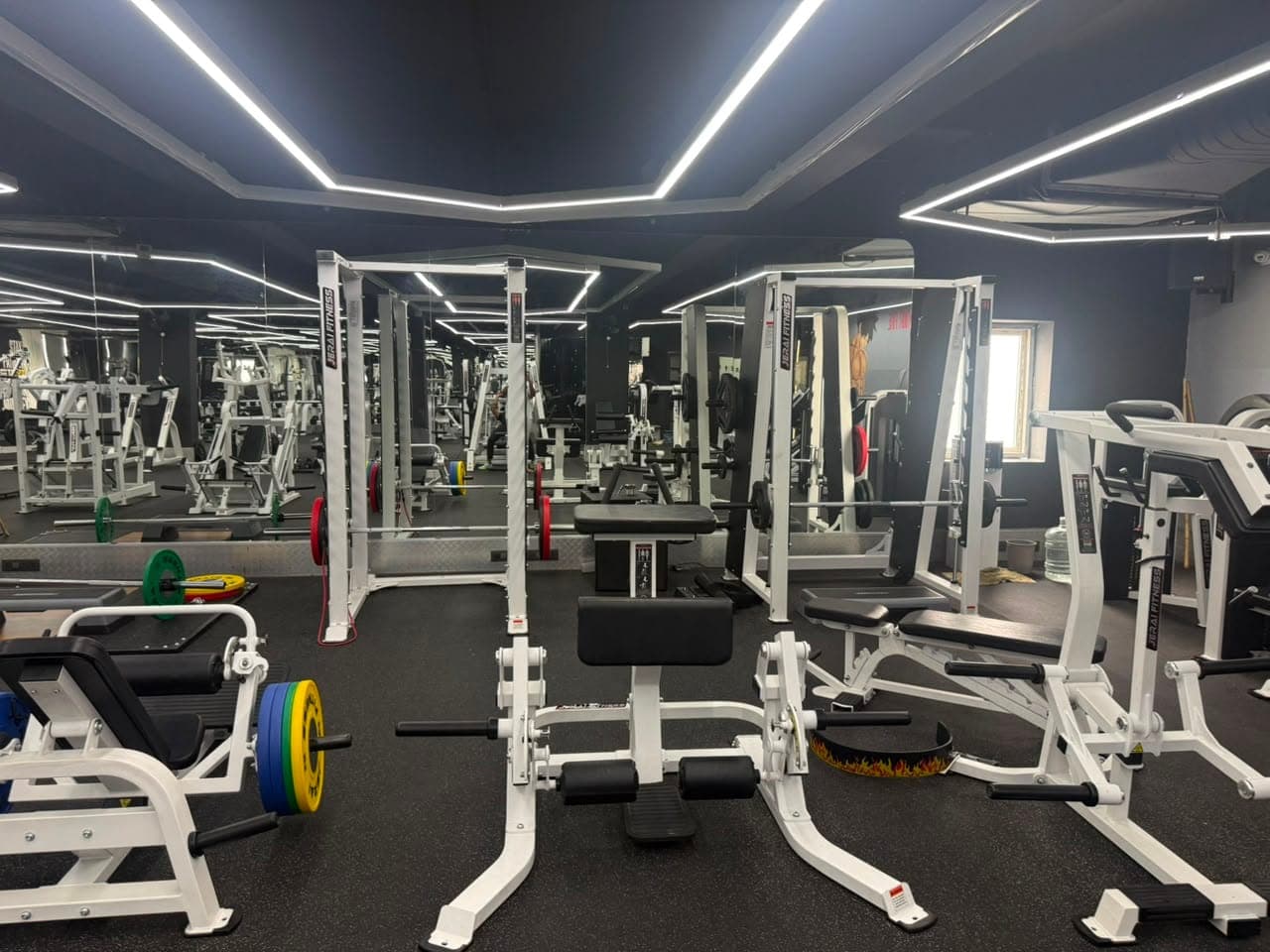 Free Weights