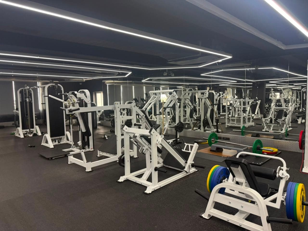 Gym Floor